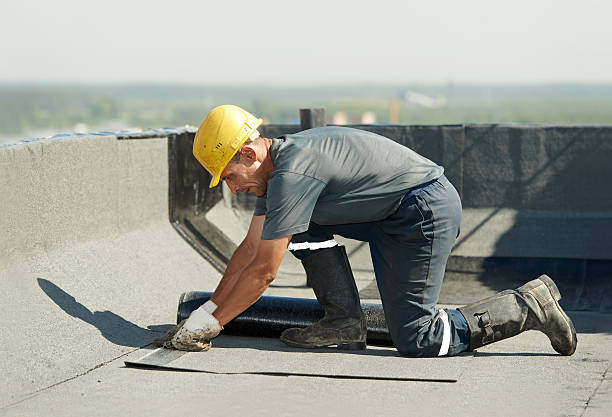 Best Residential Insulation in Moyock, NC